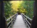 Suspension Bridge "The Crossing"