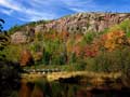 Porcupine Mountains "Looking Up"