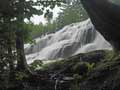 Bond Falls "Through the Trees"